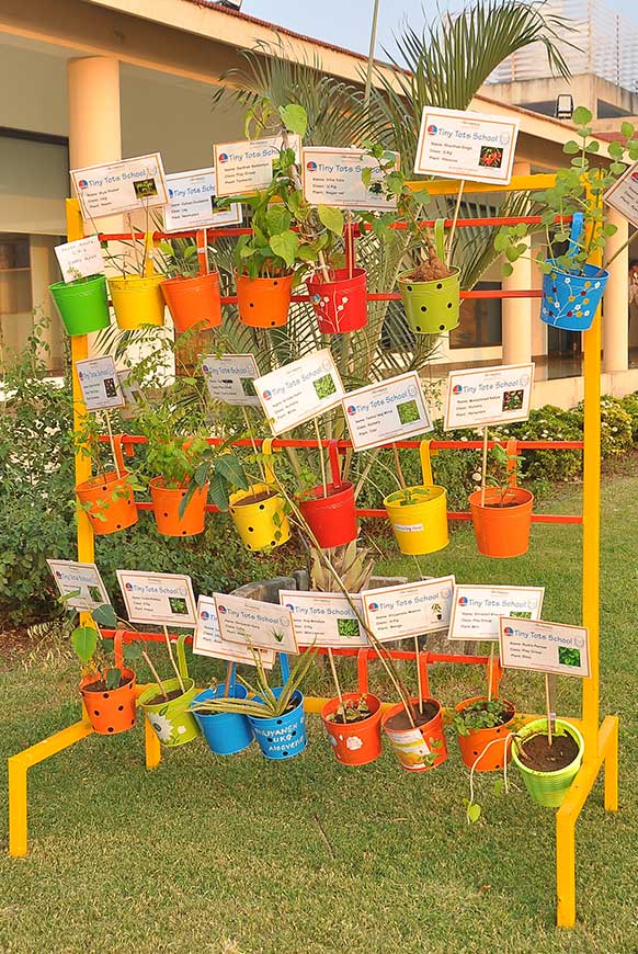 Silver Jubilee Celebration