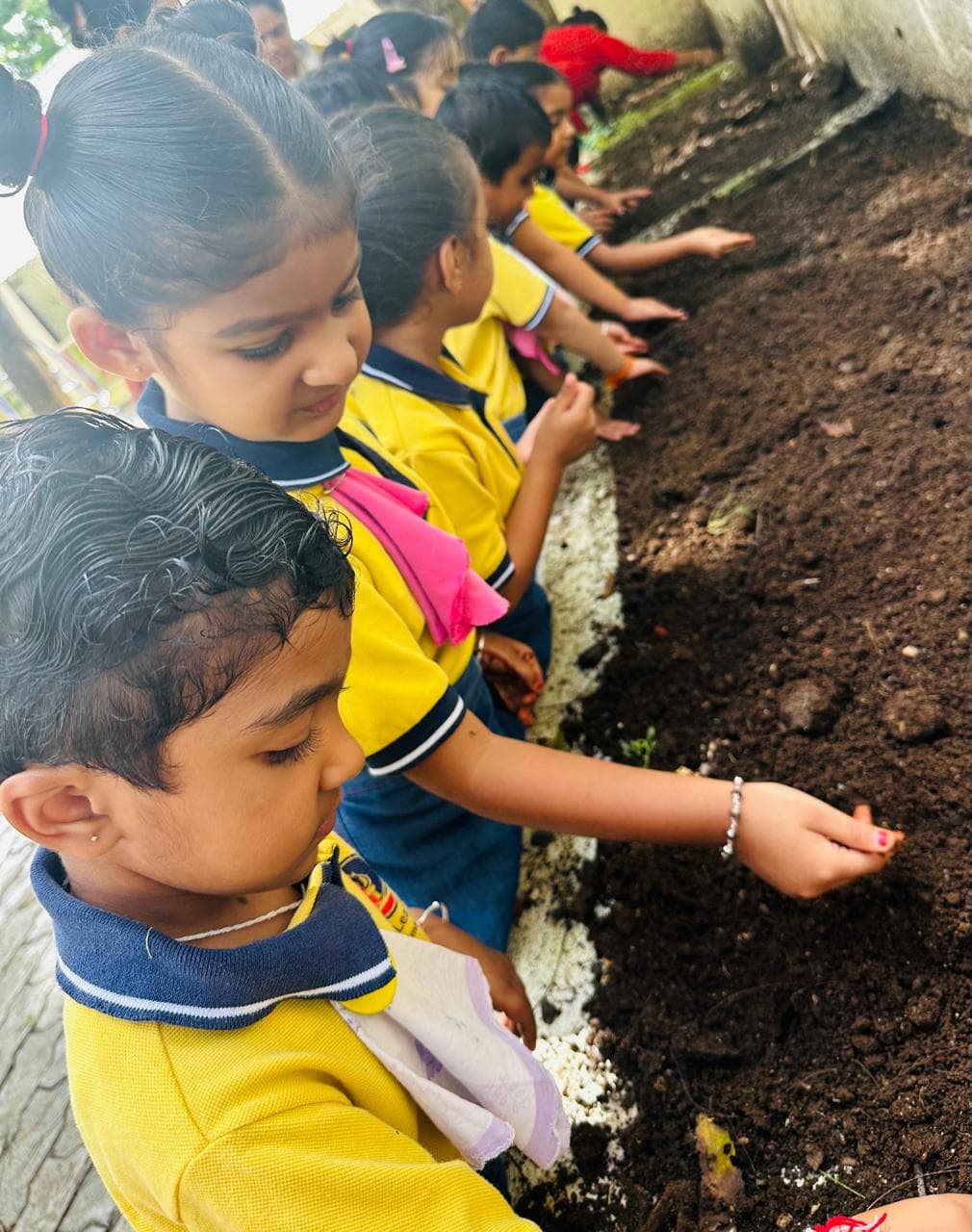 Germination Activity