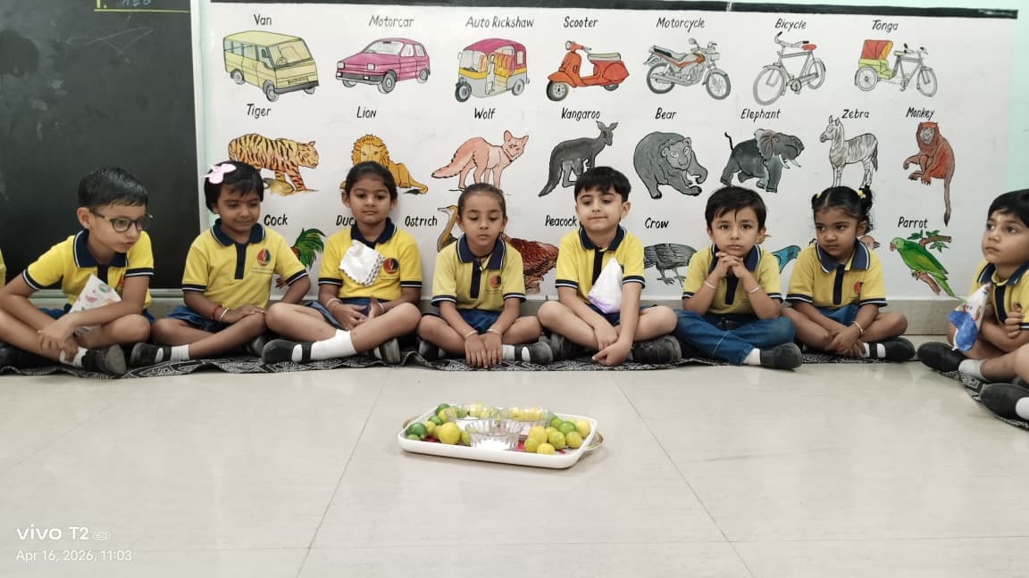 Culinary Activity – Lemon Juice – photo 6